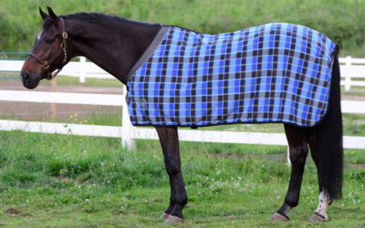 Equestrian Products: Horse Blankets